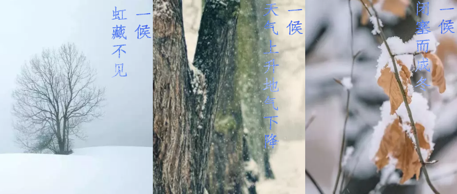 今日小雪，寒潮來(lái)襲，洗瓶機(jī)來(lái)幫你解放雙手吧！
